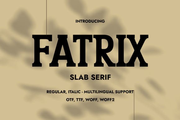 Fatrix: A Slab Serif with a Bold, Modern Edge