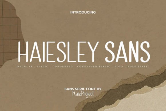 Haiesley Sans Review: A Designer’s Honest Take